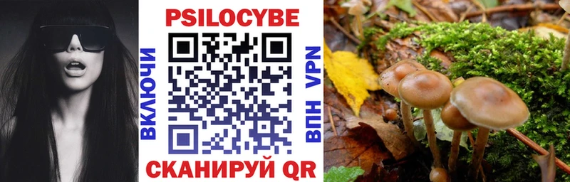 Галлюциногенные грибы MAGIC MUSHROOMS  цена наркотик  blacksprut рабочий сайт  Холм 